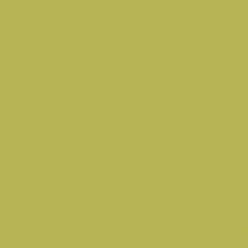 RAL 1000 - green beige (зелено-бежевый)