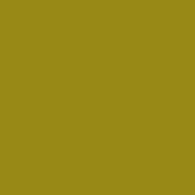 RAL 1024 - ochre yellow (охра желтая)