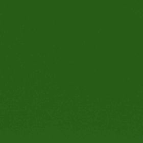 RAL 6010 - grass green (зеленая трава)