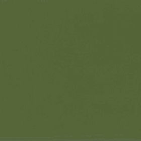 RAL 6013 - reed green (зеленый тростник)