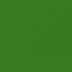 RAL 6017 - may green (зеленый май)