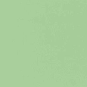 RAL 6019 - pastel green (пастельно-зеленый)