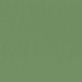 RAL 6021 - pale green (бледно-зеленый)