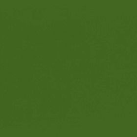RAL 6025 - fern green (зеленый папоротник)