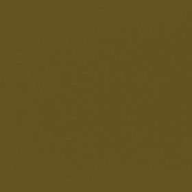 RAL 8000 - green brown (зелено-коричневый)