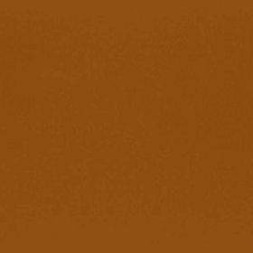 RAL 8023 - orange brown (оранжево-коричневый)
