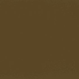 RAL 8025 - pale brown (бледно-коричневый)