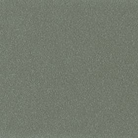 RAL 9022 - pearl light grey (перламутр светло-серый)